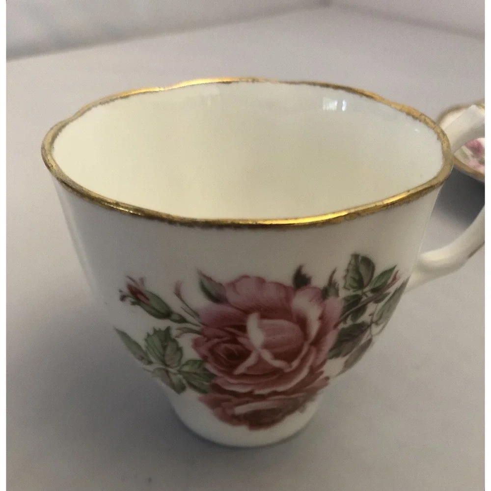 Royal Standard England Orleans Rose‎ Fine Bone China Saucer & Jason Tea Cup Gold